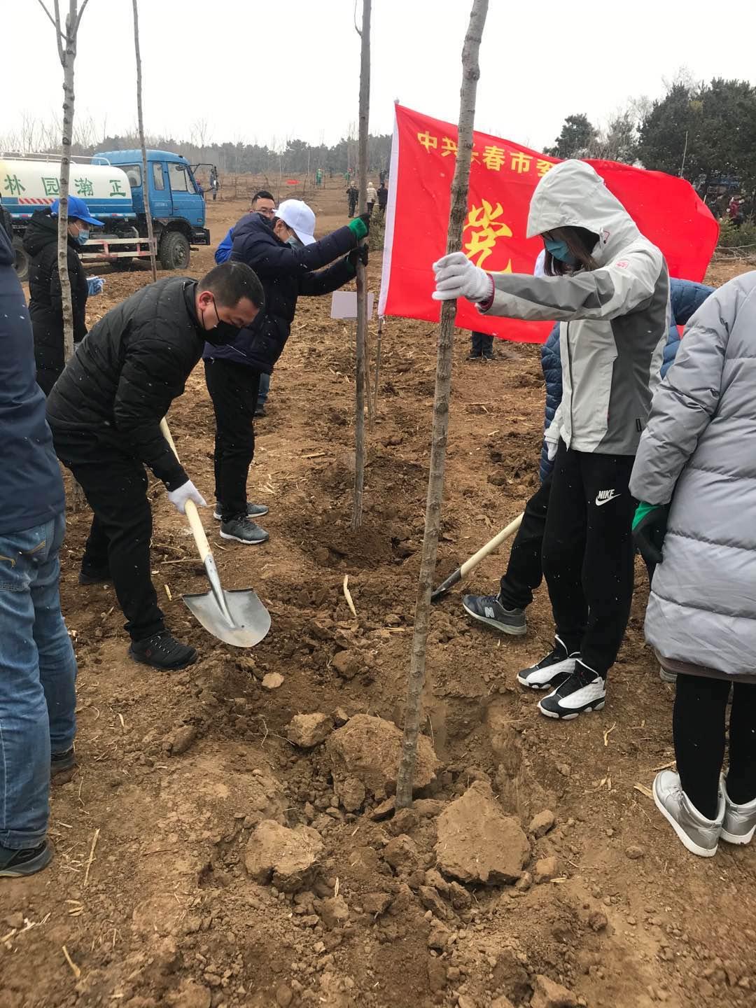 首页- 尊龙集团中国官方网站